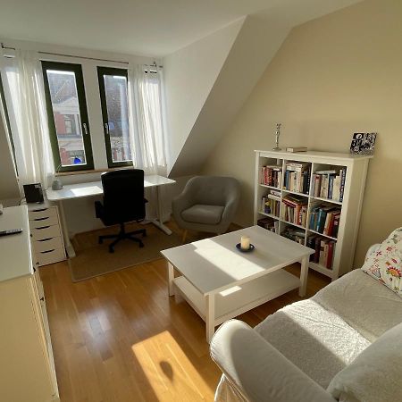 Loft Mit 2 Terrassen - Ruhig&Sonnig Apartment Leipzig Luaran gambar