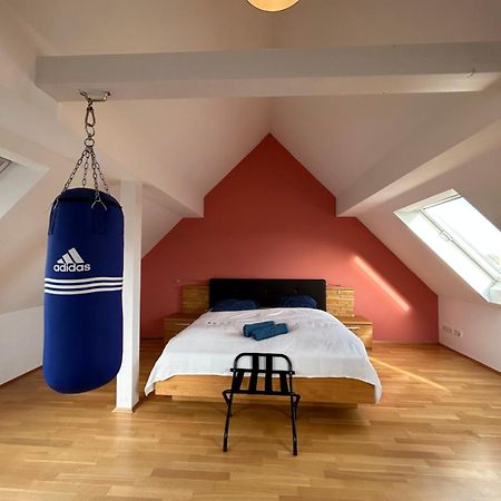 Loft Mit 2 Terrassen - Ruhig&Sonnig Apartment Leipzig Luaran gambar