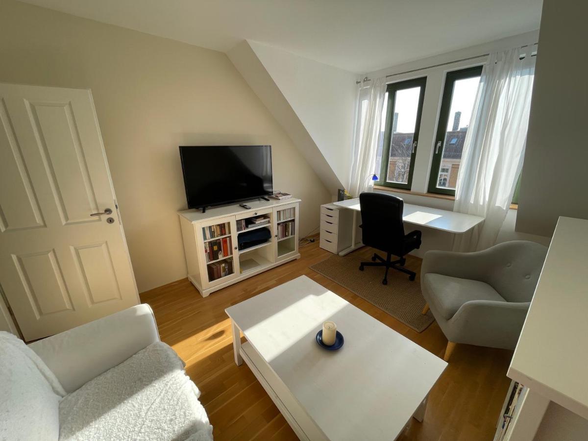 Loft Mit 2 Terrassen - Ruhig&Sonnig Apartment Leipzig Luaran gambar